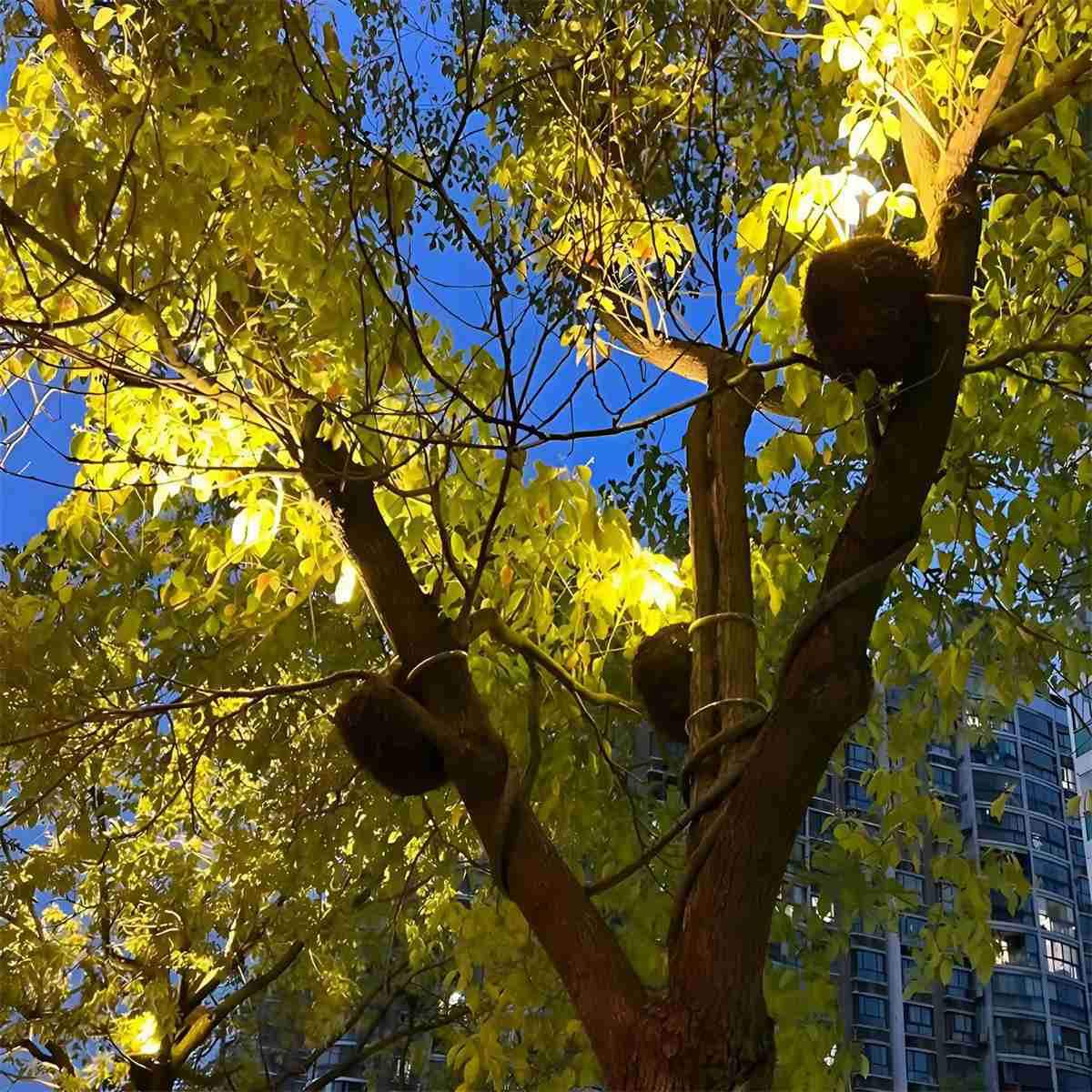 Outdoor Waterproof Bird's Nest LED Spot Lights Trees Lights