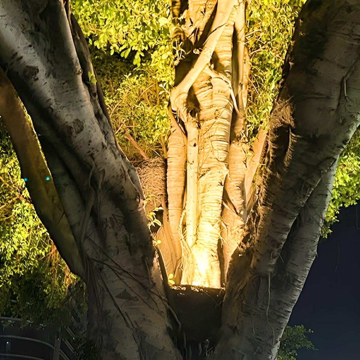 Outdoor Waterproof Bird's Nest LED Spot Lights Trees Lights